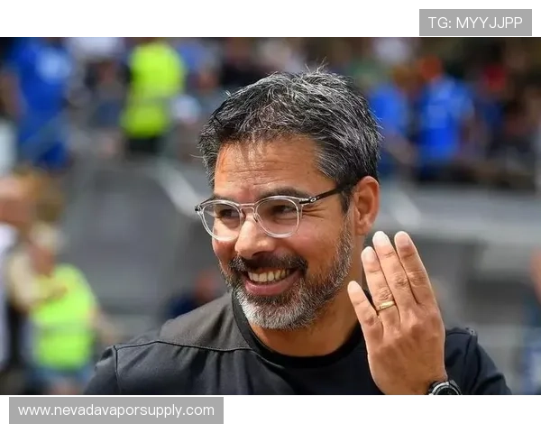 葡萄牙青年才俊