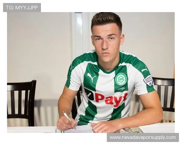 赫鲁斯蒂奇进球数据