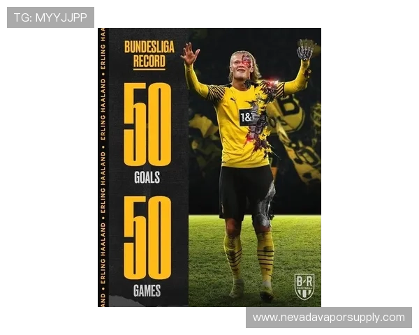 哈兰德机器人哈兰德