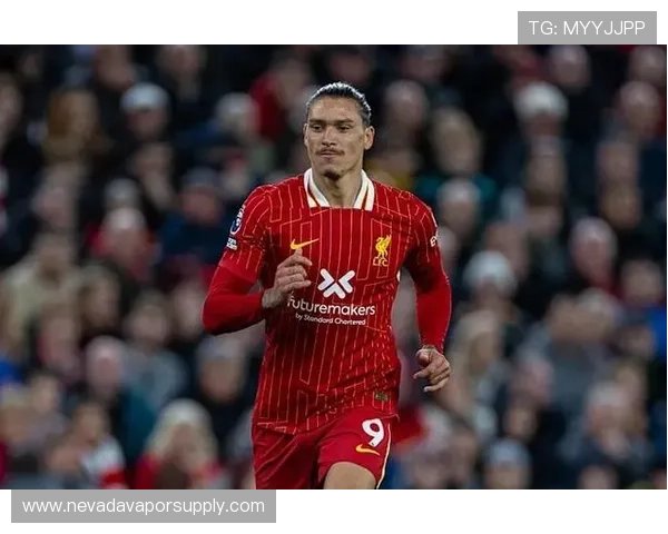 从乌拉圭草根到利物浦9号：努涅斯的逆袭之路