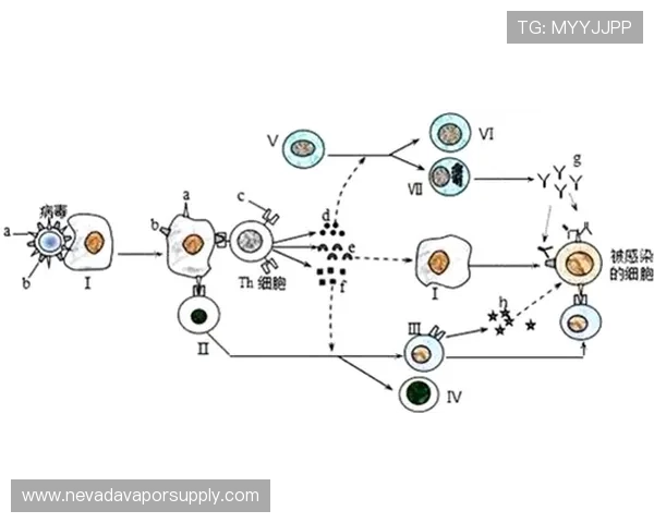 杜埃身体对抗偏弱对高端比赛表现稳定性的影响分析 杜埃身体对抗偏弱对高端比赛表现稳定性的影响分析